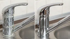 Hoe kalkaanslag verwijderen: 10 effectieve remedies en hoe u ze gebruikt